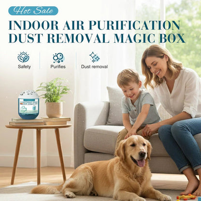 🔥 2026 New & Upgraded - Indoor Air Purification Dust Removal Magic Box 🏠 Limited-Time Offer ⏰